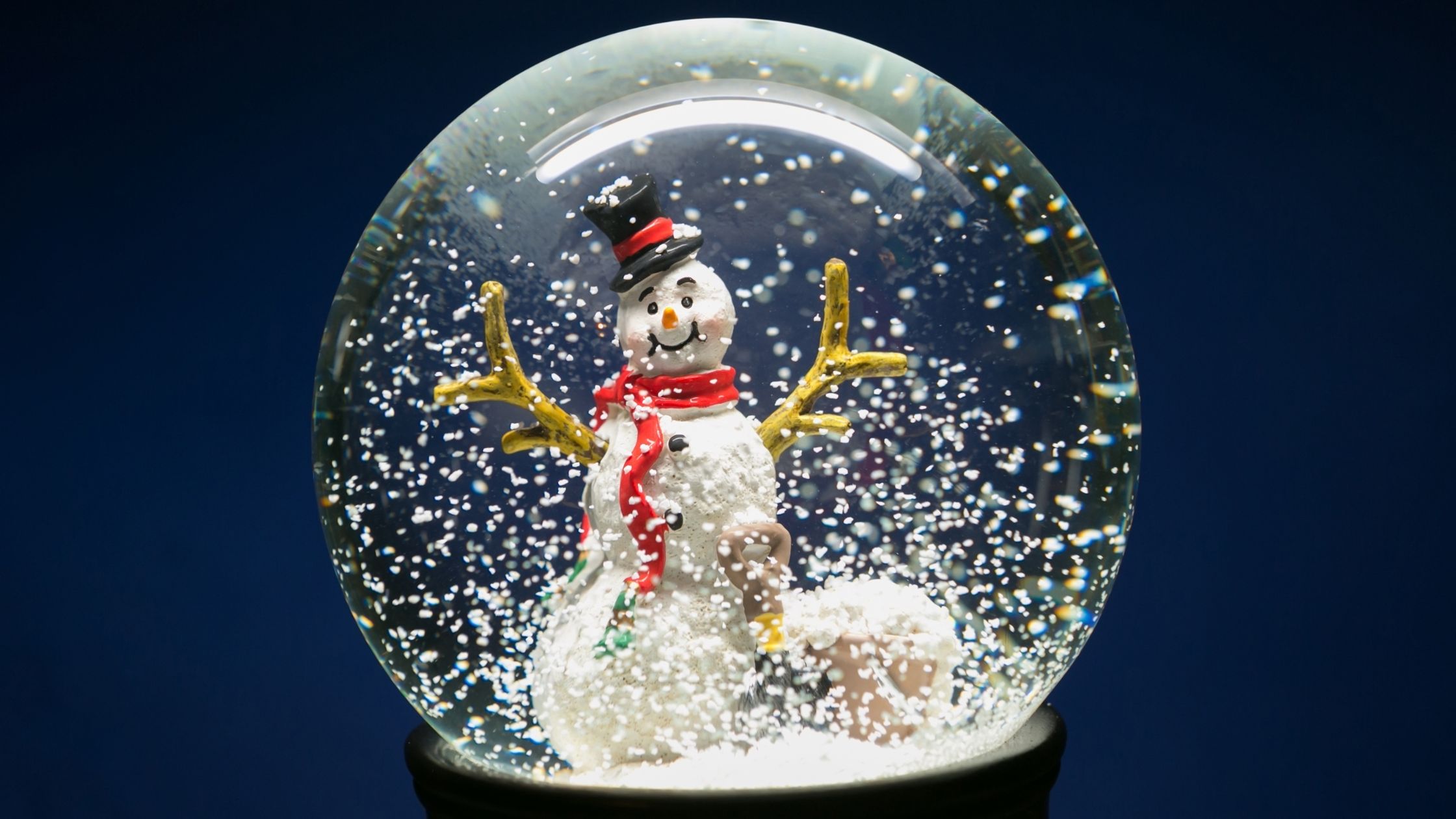 What’s inside a snow globe inflatable Christmas decoration? You won’t believe what we found!